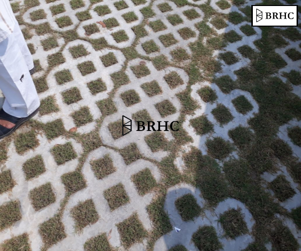 BRHC is a leading manufacturer of Grass Pavers